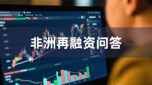 非洲再融资问答