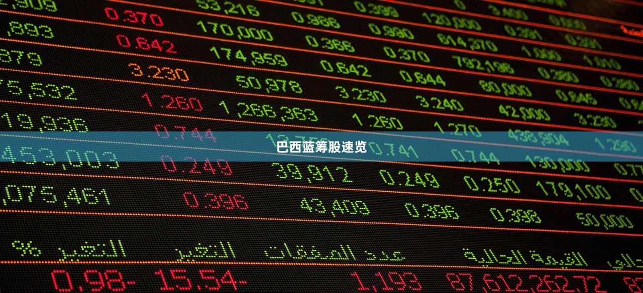 巴西蓝筹股速览