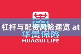 杠杆与配资风险速览 at