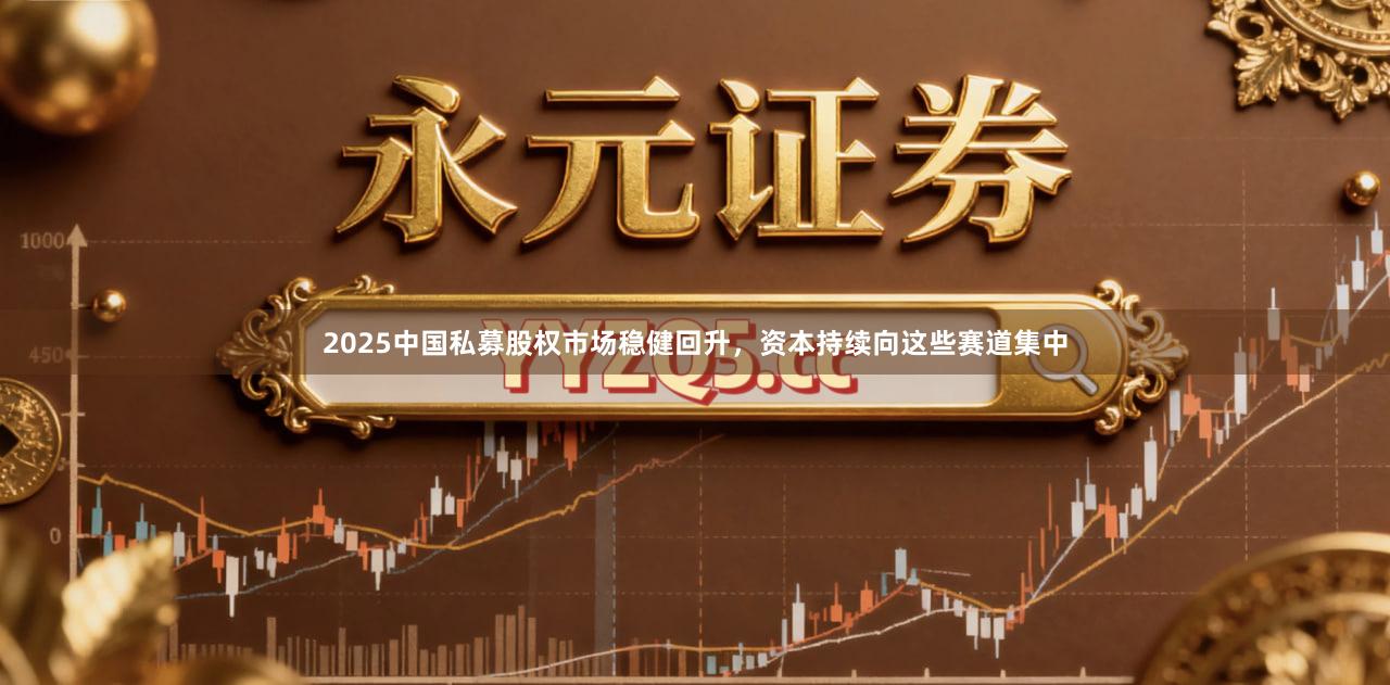 2025中国私募股权市场稳健回升，资本持续向这些赛道集中