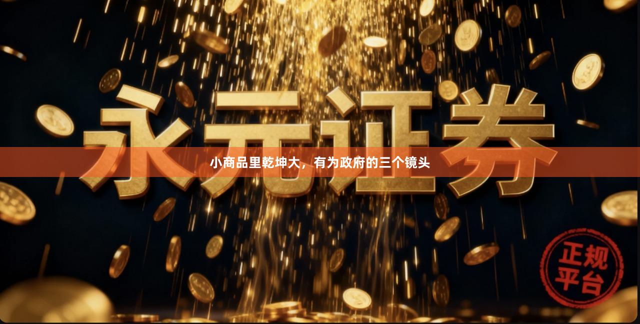 小商品里乾坤大，有为政府的三个镜头