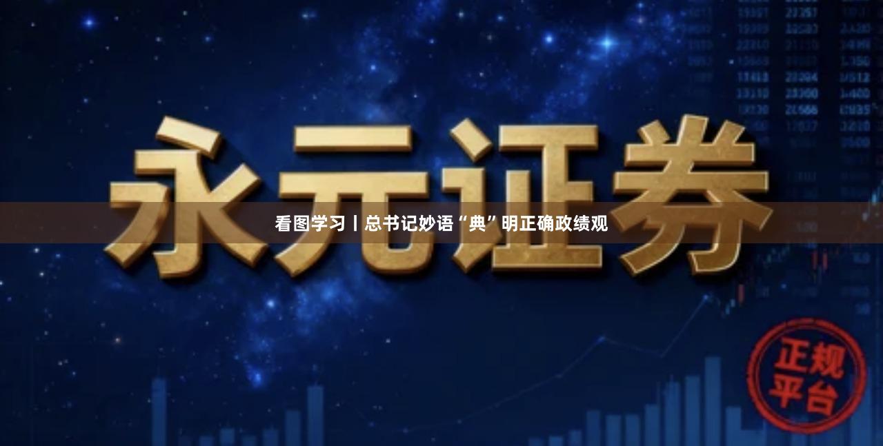 看图学习丨总书记妙语“典”明正确政绩观