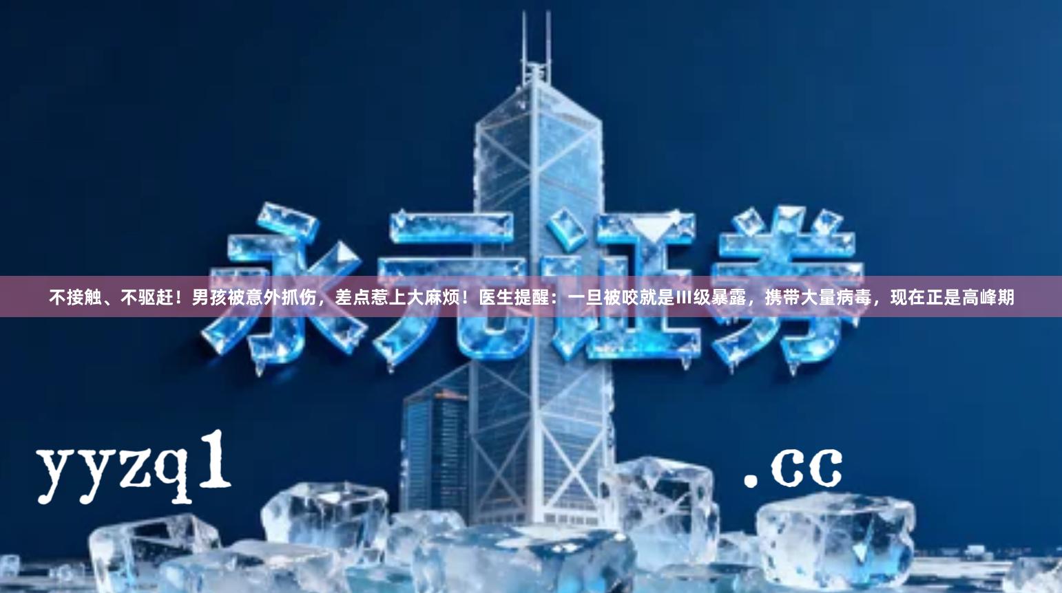 不接触、不驱赶！男孩被意外抓伤，差点惹上大麻烦！医生提醒：一旦被咬就是Ⅲ级暴露，携带大量病毒，现在正是高峰期