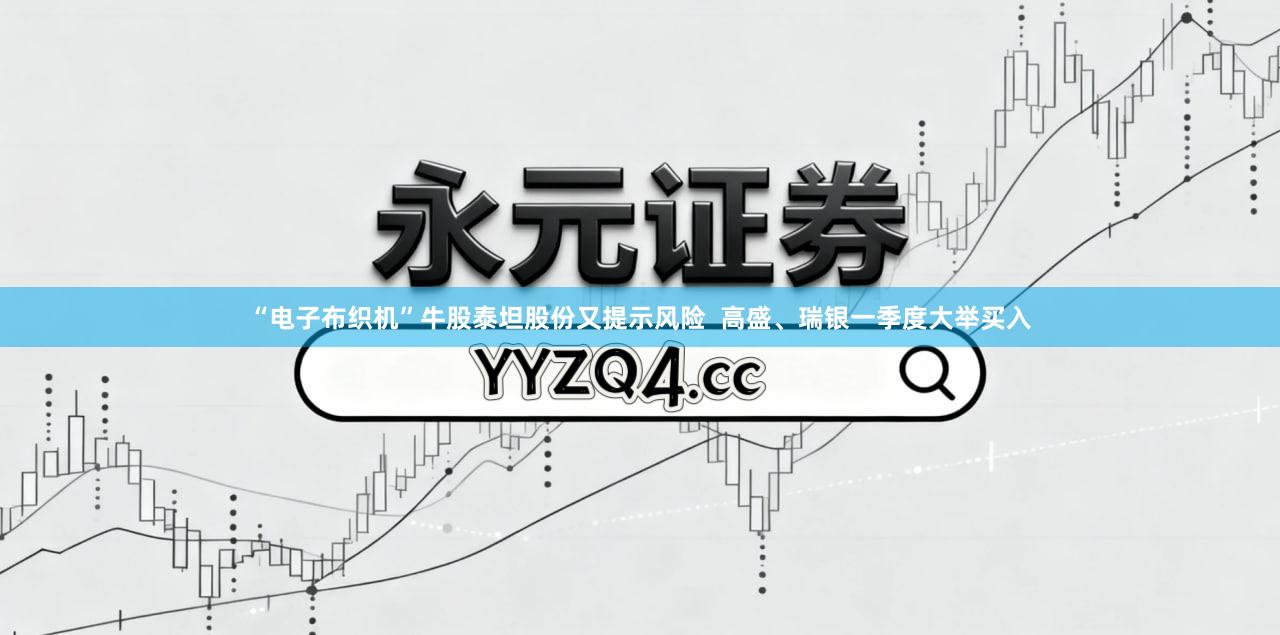“电子布织机”牛股泰坦股份又提示风险  高盛、瑞银一季度大举买入