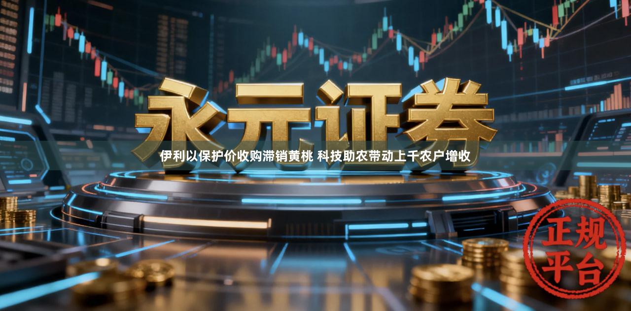 伊利以保护价收购滞销黄桃 科技助农带动上千农户增收